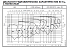 NSCE 32-200/55/P25VCS4 - График насоса NSC, 4 полюса, 2990 об., 50 гц - картинка 3